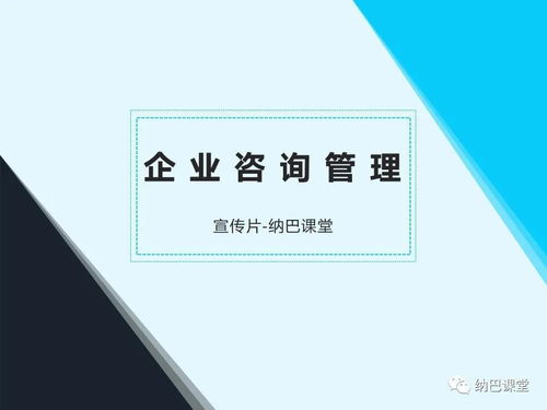企業(yè)管理咨詢(xún)